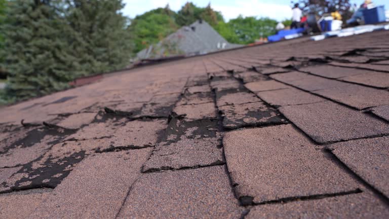 Best Asphalt Shingles Roofing  in Mount Arlington, NJ